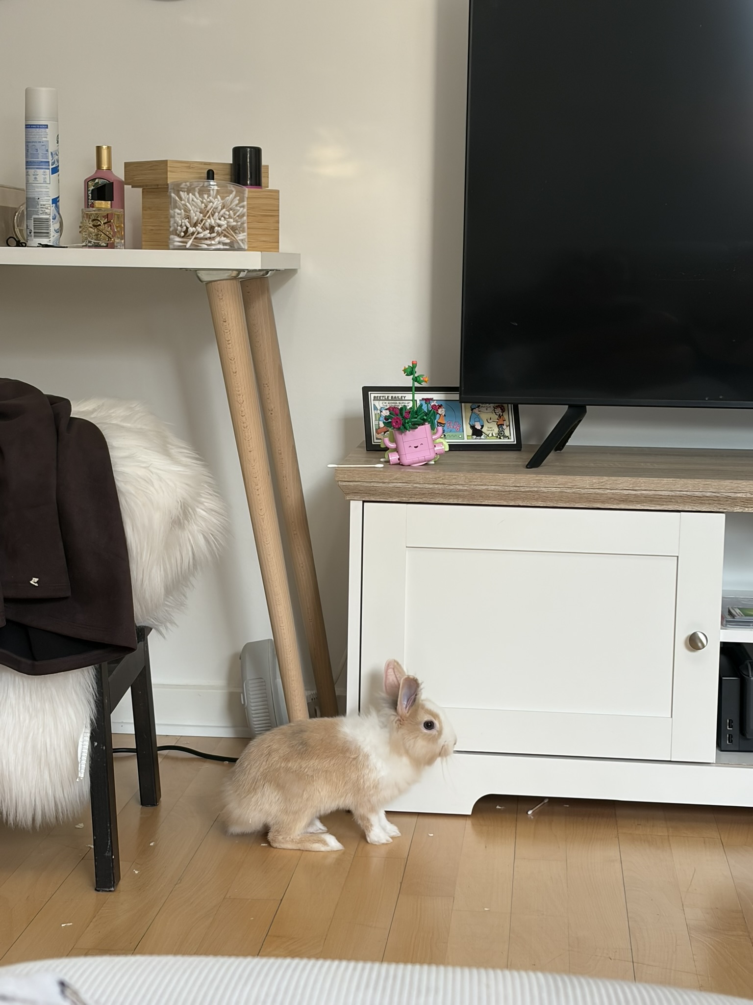 Blondie på udflugt